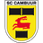 SC Cambuur-Leeuwarden